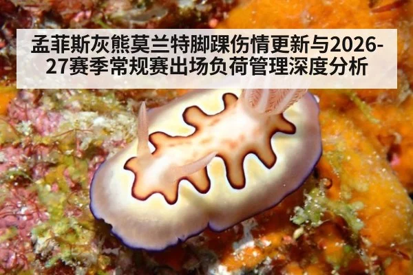 孟菲斯灰熊莫兰特脚踝伤情更新与2026-27赛季常规赛出场负荷管理深度分析